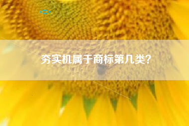 夯实机属于商标第几类？