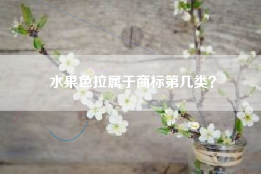 水果色拉属于商标第几类？