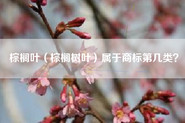 棕榈叶（棕榈树叶）属于商标第几类？