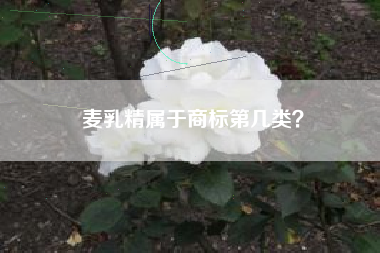 麦乳精属于商标第几类？