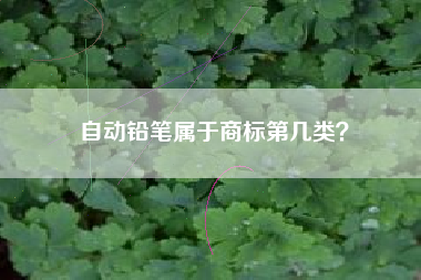 自动铅笔属于商标第几类？