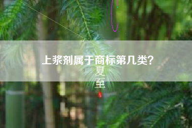 上浆剂属于商标第几类？