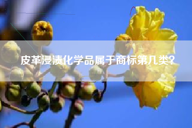 皮革浸渍化学品属于商标第几类？