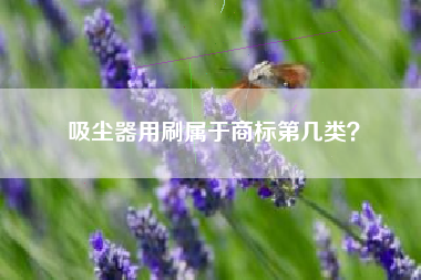 吸尘器用刷属于商标第几类？