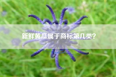 新鲜黄瓜属于商标第几类？