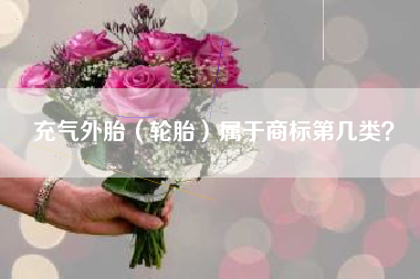 充气外胎（轮胎）属于商标第几类？