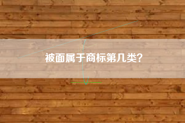 被面属于商标第几类？