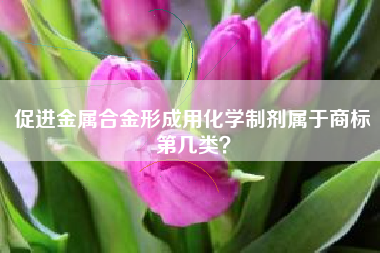促进金属合金形成用化学制剂属于商标第几类？