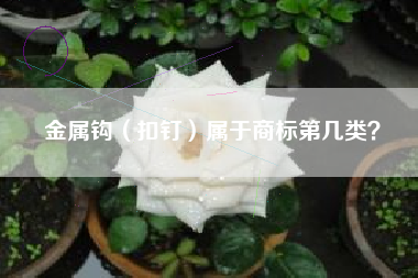 金属钩（扣钉）属于商标第几类？