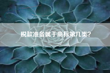税款准备属于商标第几类？
