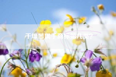干燥器属于商标第几类？