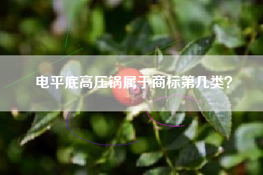电平底高压锅属于商标第几类？