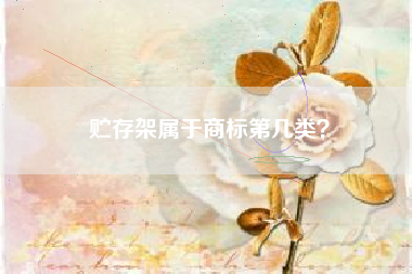 贮存架属于商标第几类？