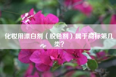 化妆用漂白剂（脱色剂）属于商标第几类？