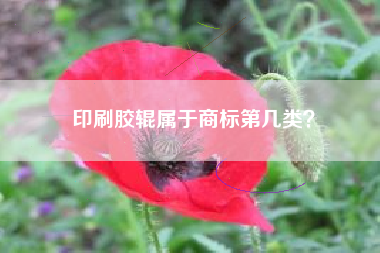 印刷胶辊属于商标第几类？