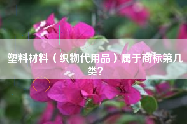 塑料材料（织物代用品）属于商标第几类？