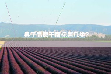 果子晶属于商标第几类？