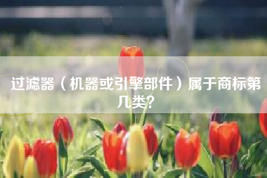 过滤器（机器或引擎部件）属于商标第几类？