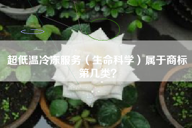 超低温冷冻服务（生命科学）属于商标第几类？