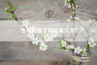 生糯粉属于商标第几类？
