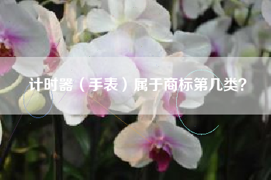 计时器（手表）属于商标第几类？