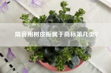 隔音用树皮板属于商标第几类？