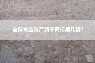 追踪被盗财产属于商标第几类？