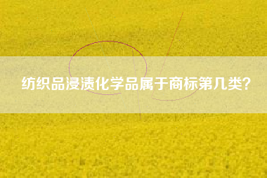 纺织品浸渍化学品属于商标第几类？