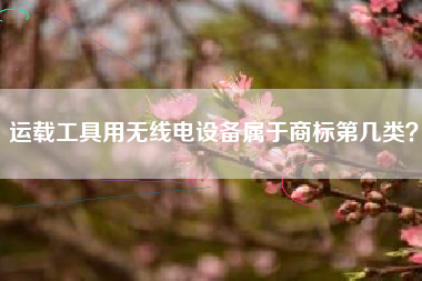 运载工具用无线电设备属于商标第几类？