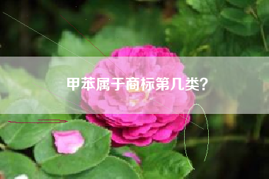 甲苯属于商标第几类？