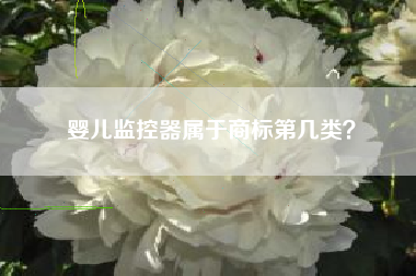 婴儿监控器属于商标第几类？