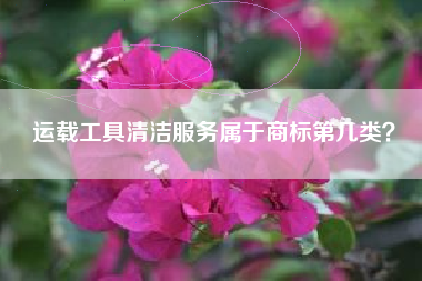 运载工具清洁服务属于商标第几类？