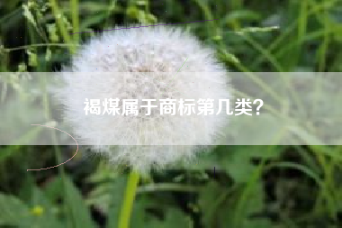 褐煤属于商标第几类？