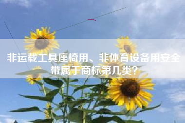 非运载工具座椅用、非体育设备用安全带属于商标第几类？