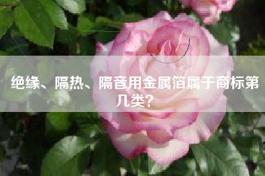 绝缘、隔热、隔音用金属箔属于商标第几类？
