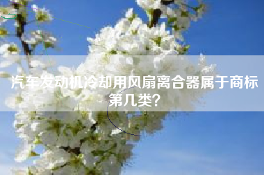 汽车发动机冷却用风扇离合器属于商标第几类？