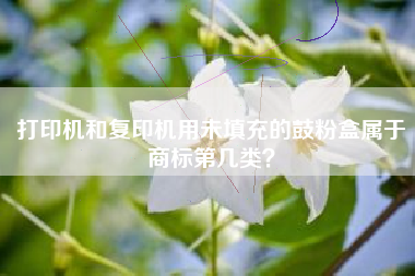 打印机和复印机用未填充的鼓粉盒属于商标第几类？