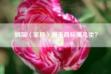 搁架（家具）属于商标第几类？