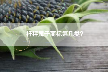 杆秤属于商标第几类？