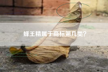 蜂王精属于商标第几类？