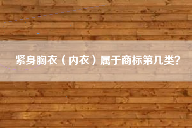 紧身胸衣（内衣）属于商标第几类？