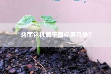 烤面包机属于商标第几类？