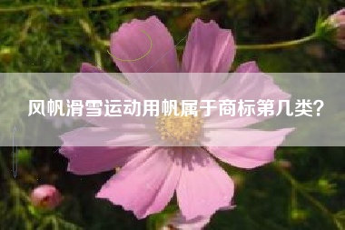风帆滑雪运动用帆属于商标第几类？