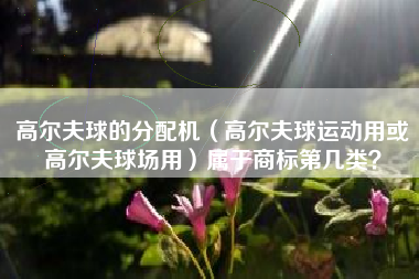 高尔夫球的分配机（高尔夫球运动用或高尔夫球场用）属于商标第几类？