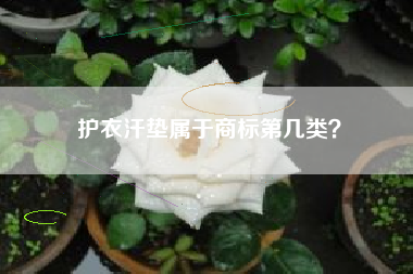 护衣汗垫属于商标第几类？