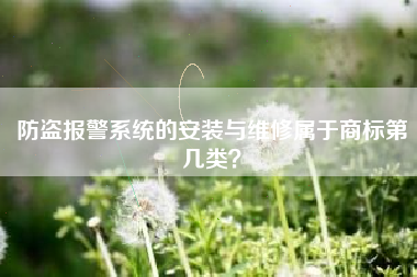 防盗报警系统的安装与维修属于商标第几类？