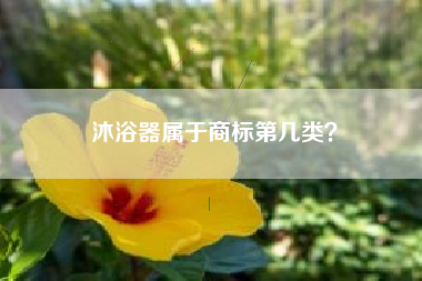 沐浴器属于商标第几类？