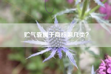 贮气囊属于商标第几类？