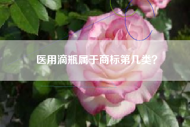 医用滴瓶属于商标第几类？
