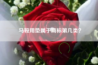 马鞍用垫属于商标第几类？